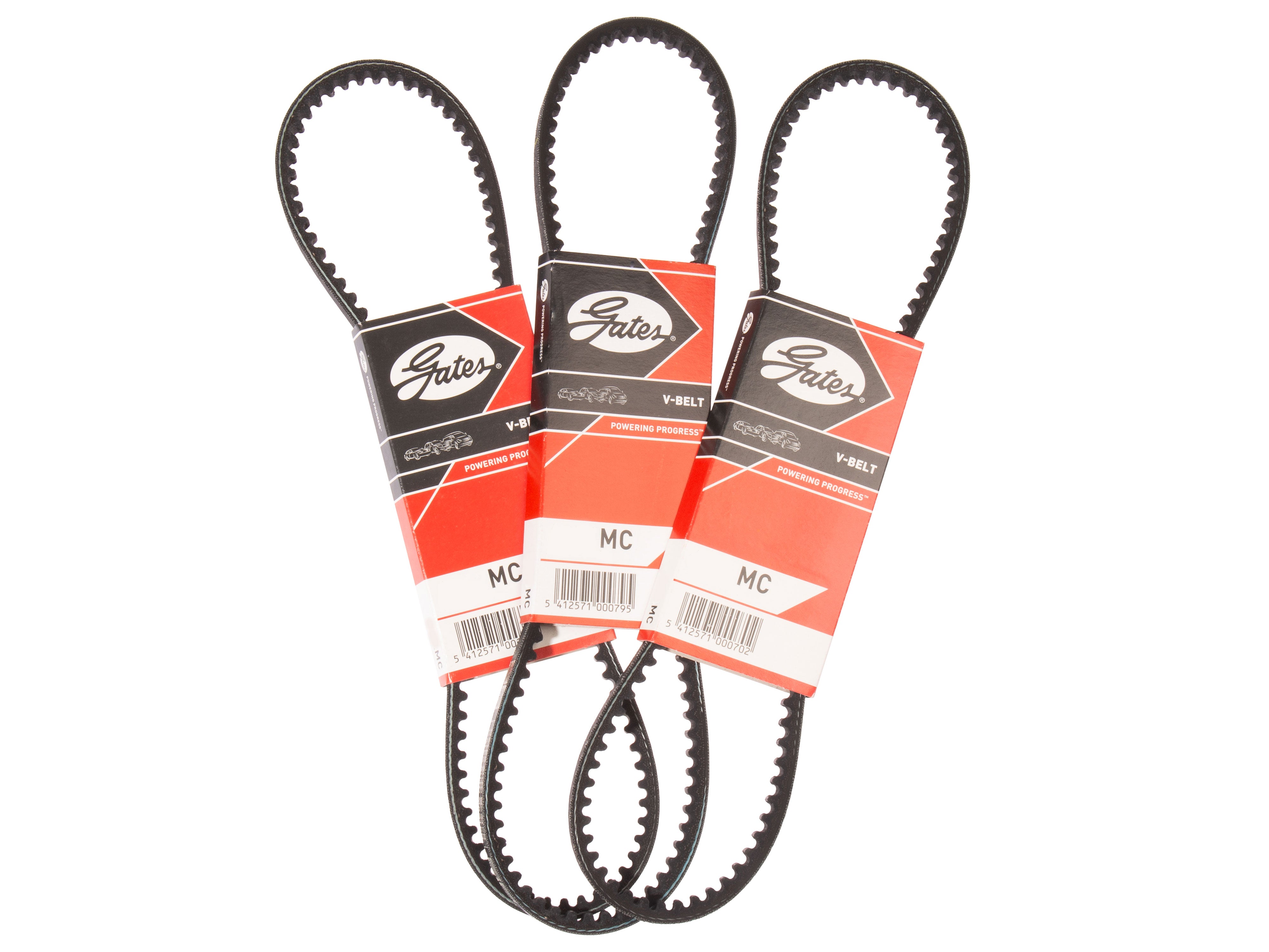 CLASSIC MINI FAN BELT MED classic-mini-fan-belt-med