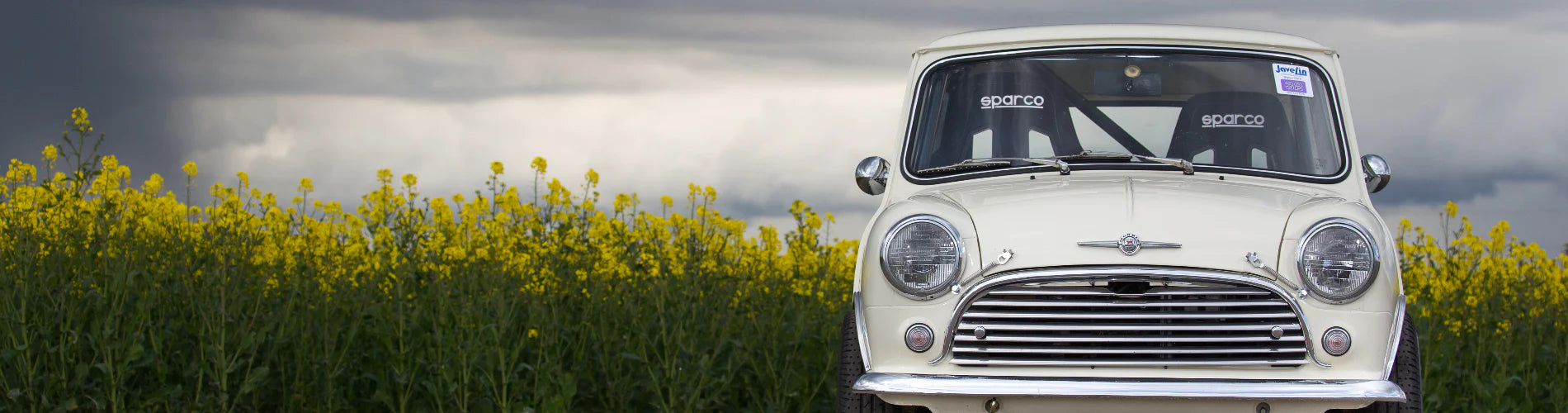 Classic Mini Specialist