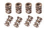 MED ROAD VALVE SPRINGS